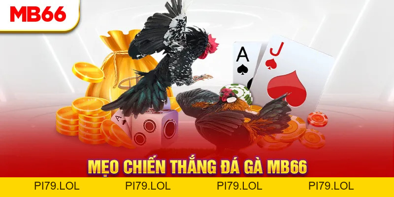 Đá Gà MB66 - Đấu Trường Đổ Máu Của Các Chiến Kê Hàng Đầu - pi79.lol