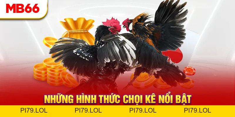 Đá Gà MB66 - Đấu Trường Đổ Máu Của Các Chiến Kê Hàng Đầu - pi79.lol