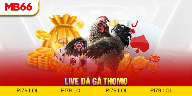 Đá Gà MB66 - Đấu Trường Đổ Máu Của Các Chiến Kê Hàng Đầu - pi79.lol