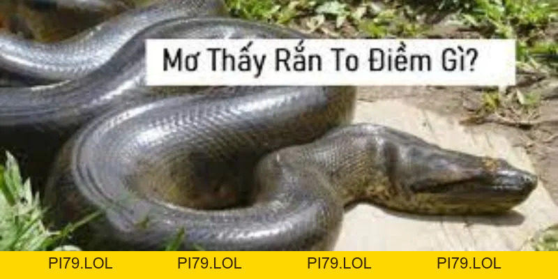 Giải Mã Giấc Mơ MB66: Nằm Mơ Thấy Rắn To Có Ý Nghĩa Gì? - pi79.lol