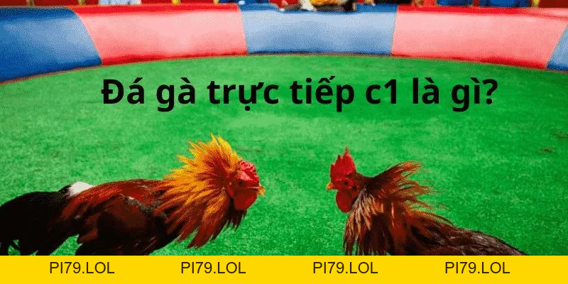 Trực Tiếp Đá Gà Đòn C1 - Giải Đấu Chiến Kê HOT Nhất MB66 - pi79.lol